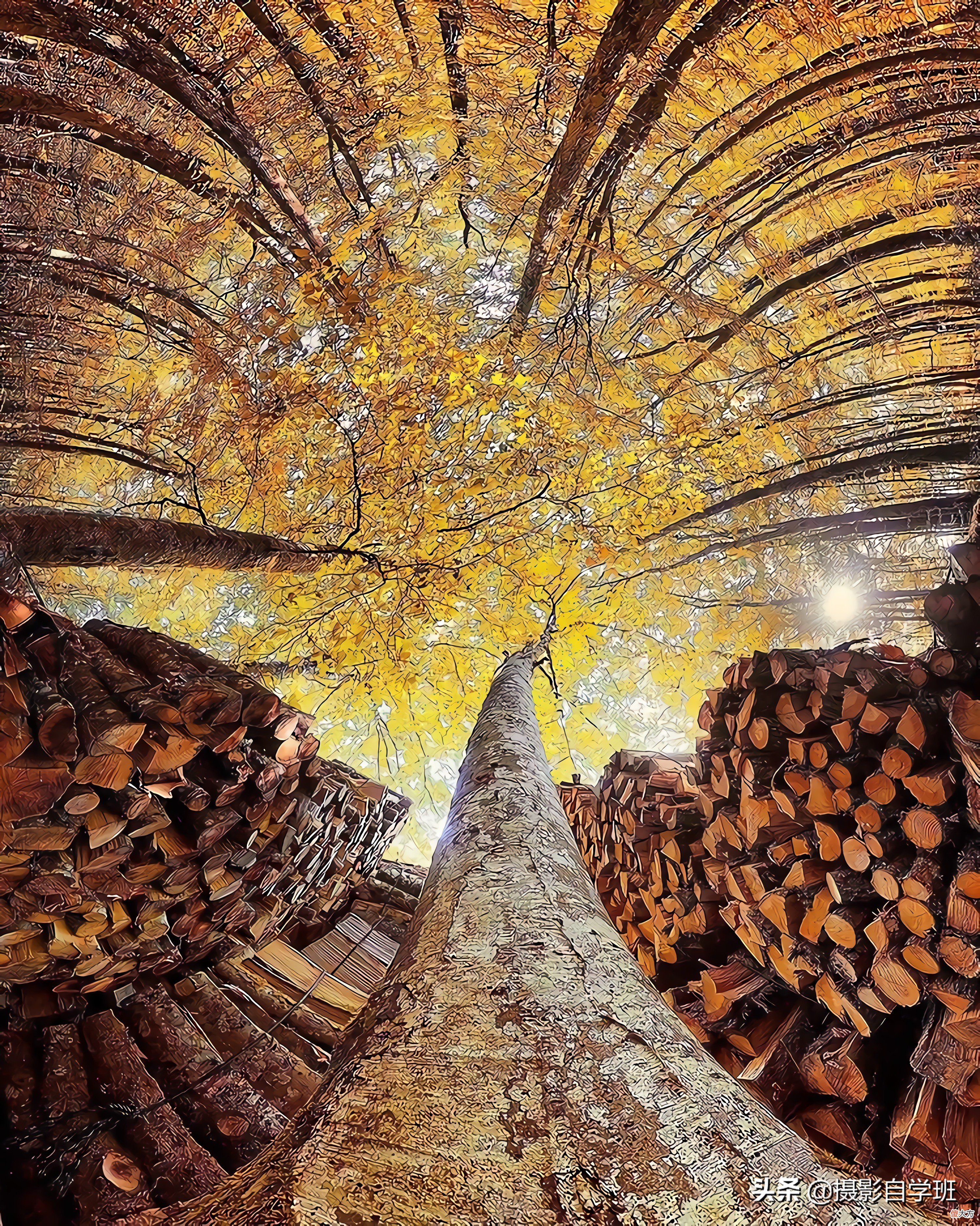 帮你风光照片更美 阳光风景美图