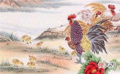1981属鸡的40岁以后命运如何