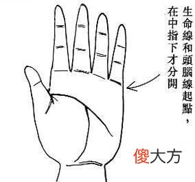 生命线和头脑线之起点