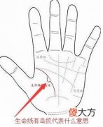 生命线有岛纹手相图解