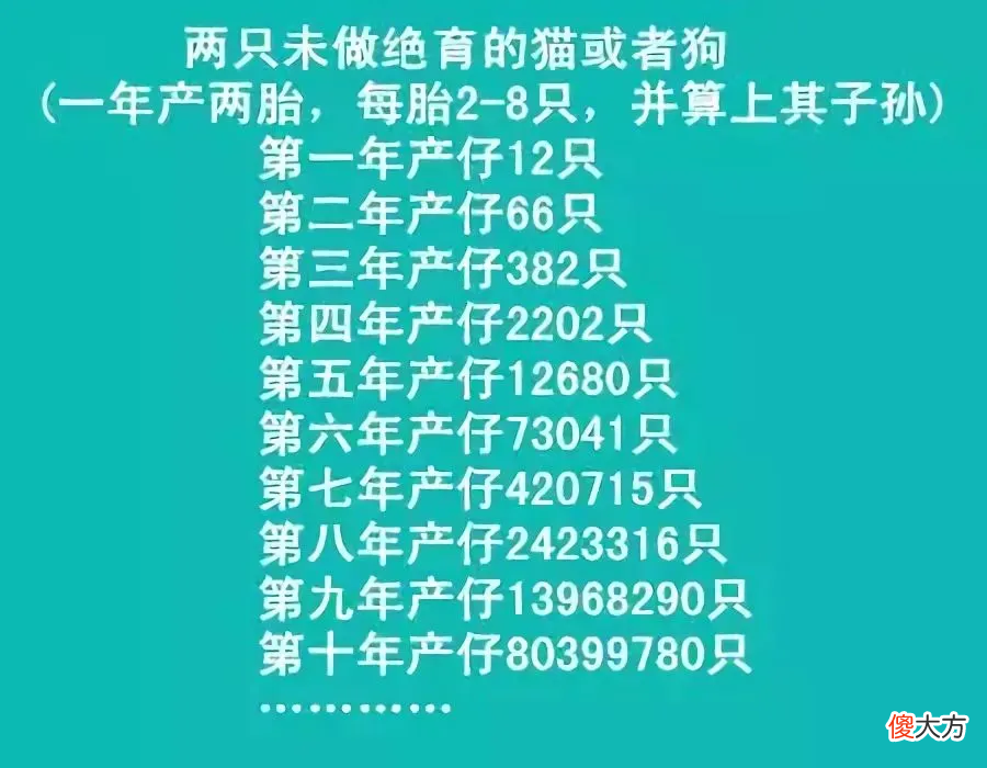 可以用棉签帮它爽爽吗 棉签能不能用