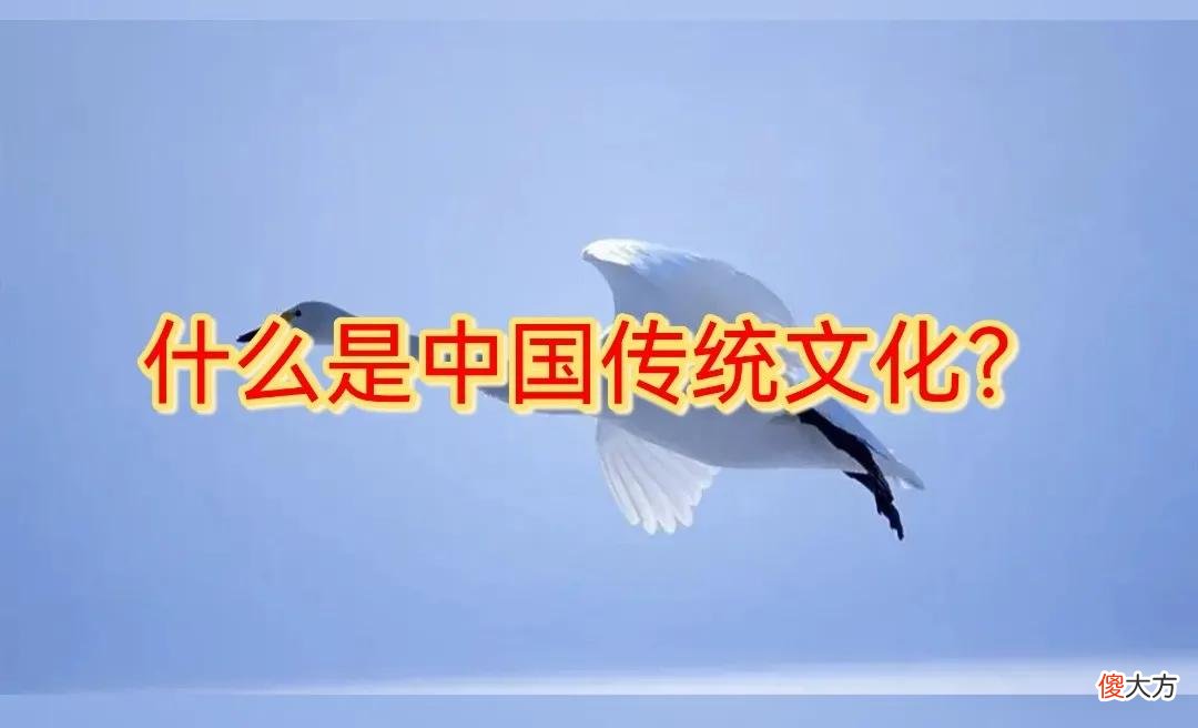揭开中华传统文化的神秘面纱 传统文化 中华文化