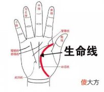 生命线有横线手相图解