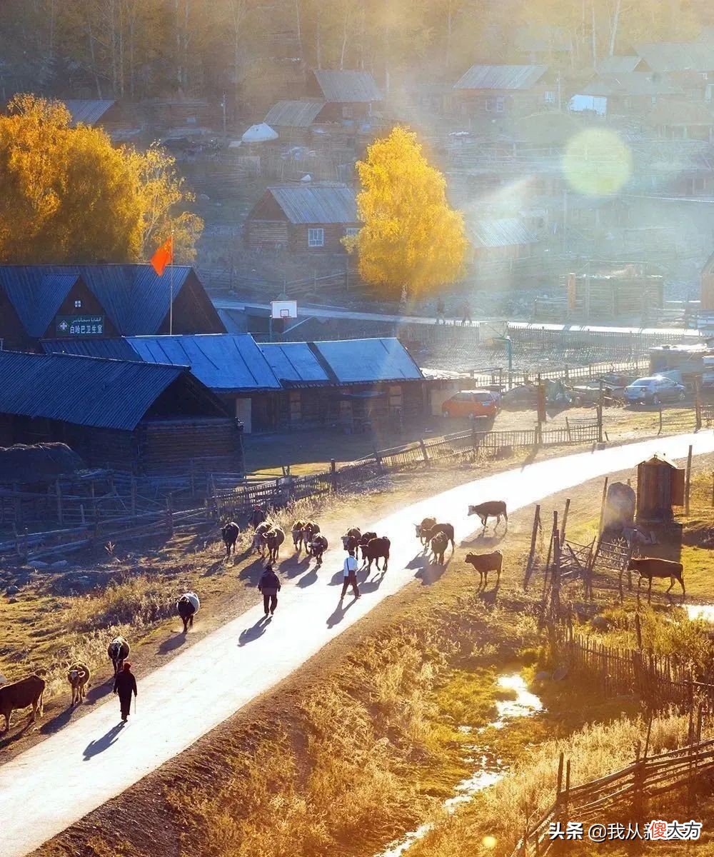 连谢霆锋也来今年最火雪乡阿勒泰了