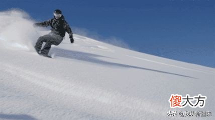 连谢霆锋也来今年最火雪乡阿勒泰了