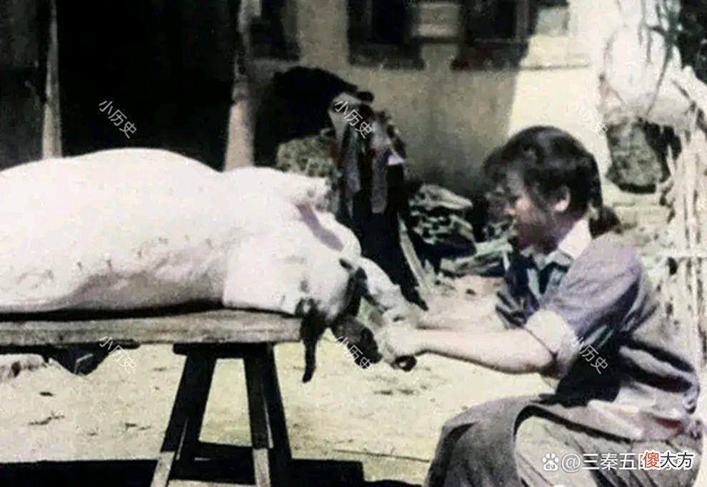 【历史故事】老照片:远征军把“日本旗”当成了围裙,50年代正在杀猪的女孩
