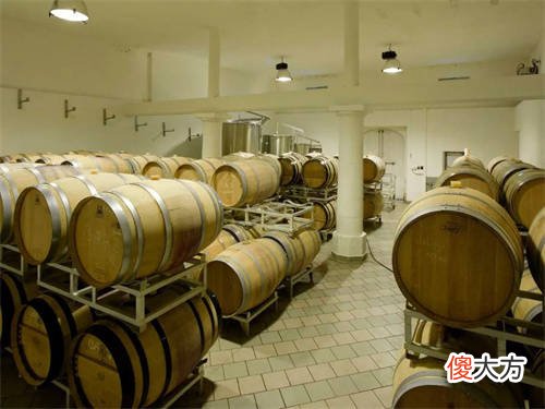 品诺红酒法国进口红酒 为什么法国红酒比中国红酒便宜