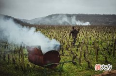 如果酒精过敏继续喝酒会怎么样 接触酒精不过敏但喝酒过敏