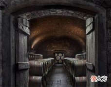开酒庄怎么赚钱 加盟酒店赚钱吗?