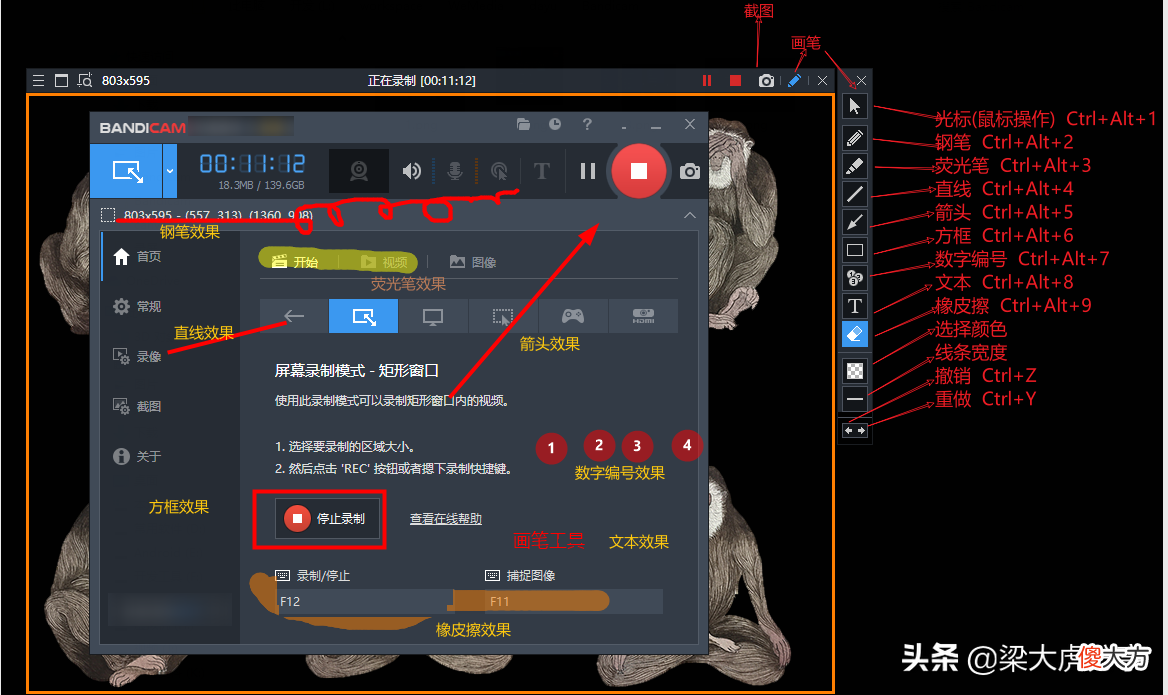 推荐一款高清视频录制工具 电脑视频录制工具