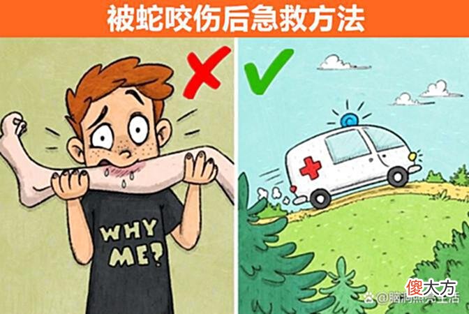 【游戏世界】可能在现实中起不到任何作用的9个生存技巧