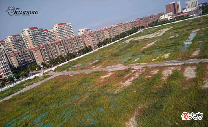 【历史故事】黎元洪父母墓葬, 原来在天津北塘口, 但为什么叫“白坟”呢?