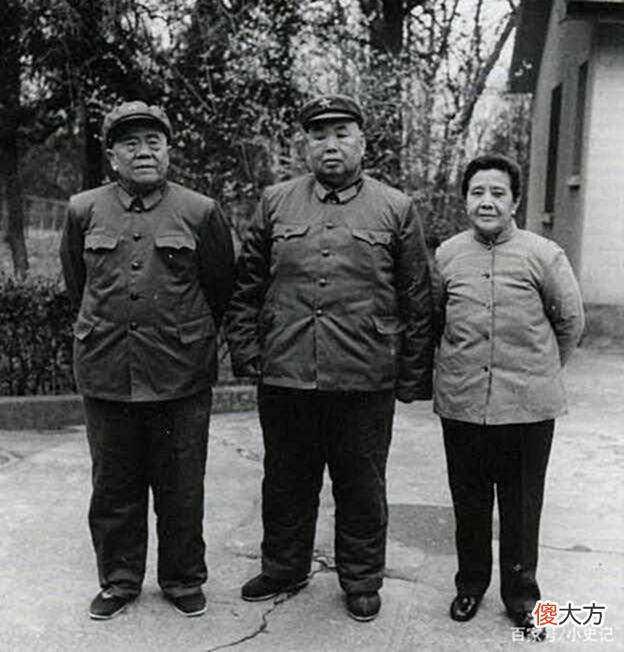 【历史故事】他是许世友的爱将,张爱萍:这是个有本事的人,能到空军作用更大