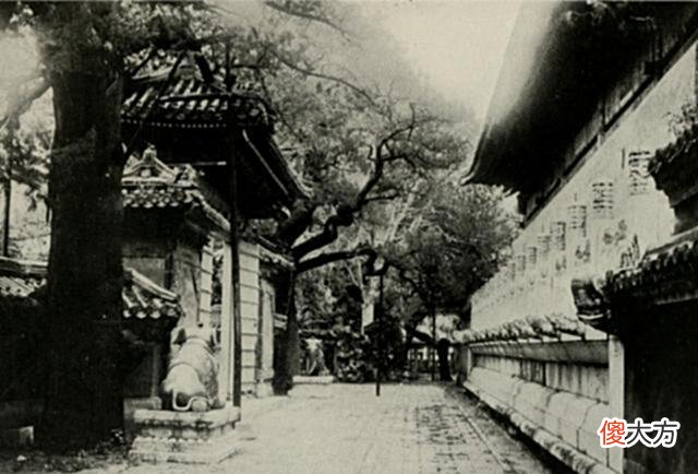 【历史故事】美国人拍摄的1901年故宫照片：图8为太和殿，图22为养心殿内景