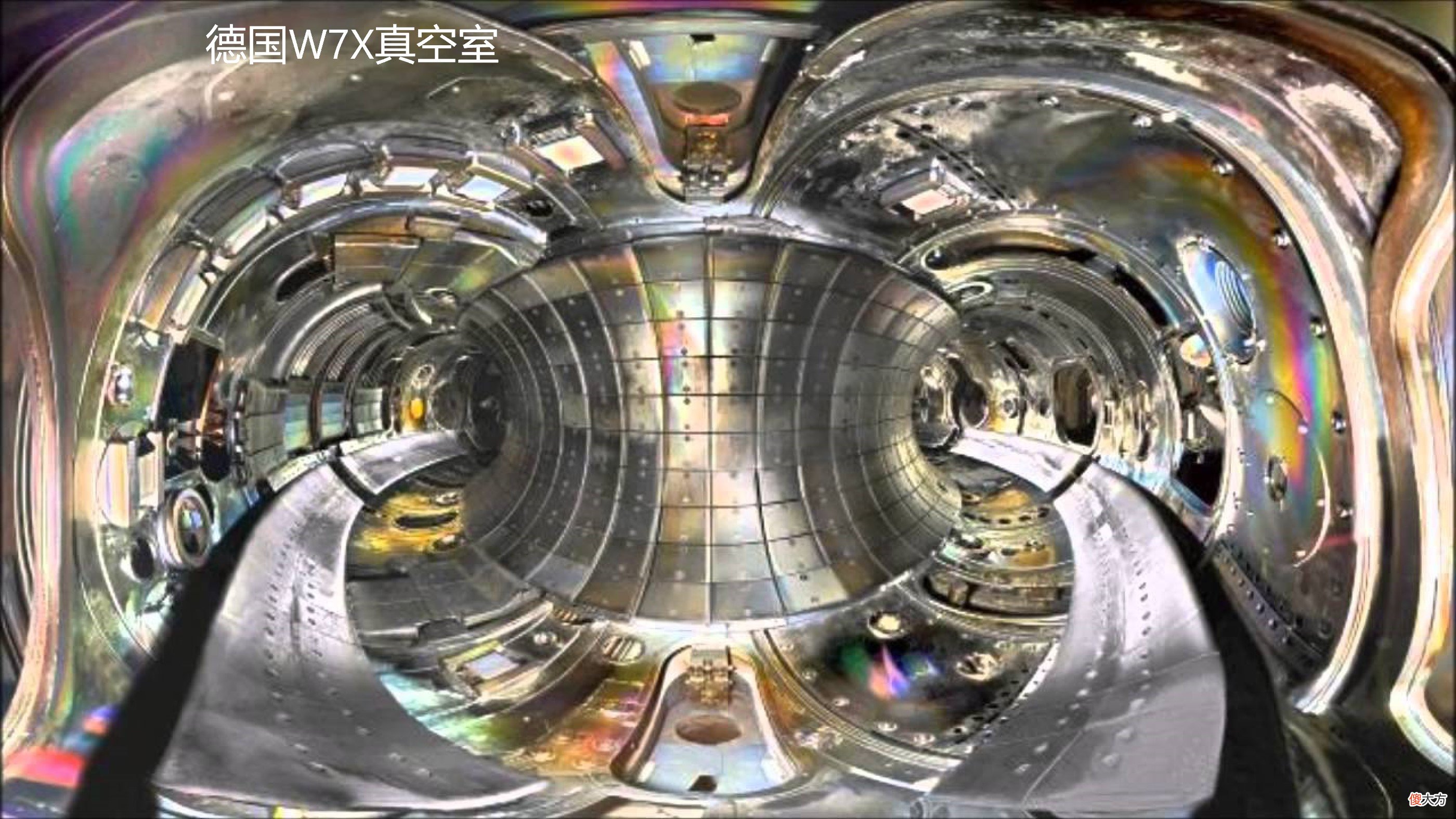 它是什么样子 是什么样子的