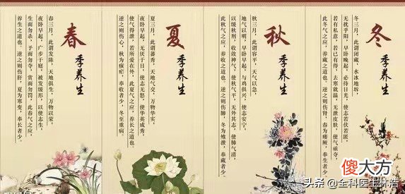 这些食物你真的吃对了吗 这些食物能吃吗ppt