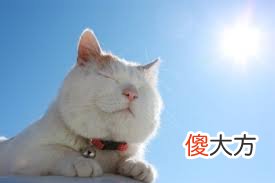 被黑出翔来的加拿大公费医疗，到底是个什么玩意？真香 OR 地狱