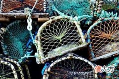 【历史故事】如果有一天你没钱、没人脉了，请牢记犹太人“出售龙虾”的方法