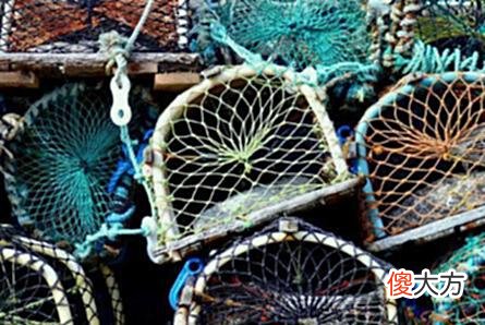 【历史故事】如果有一天你没钱、没人脉了，请牢记犹太人“出售龙虾”的方法