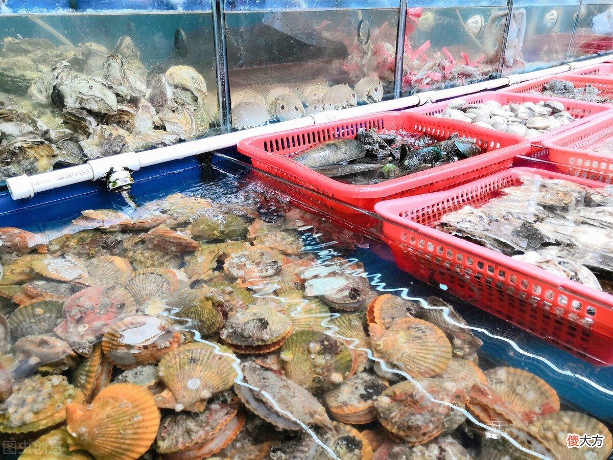 营养好吃还便宜 便宜又营养