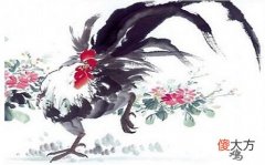 属鸡人的事业贵人是谁