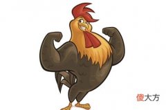 属鸡人的灾难年龄是几岁