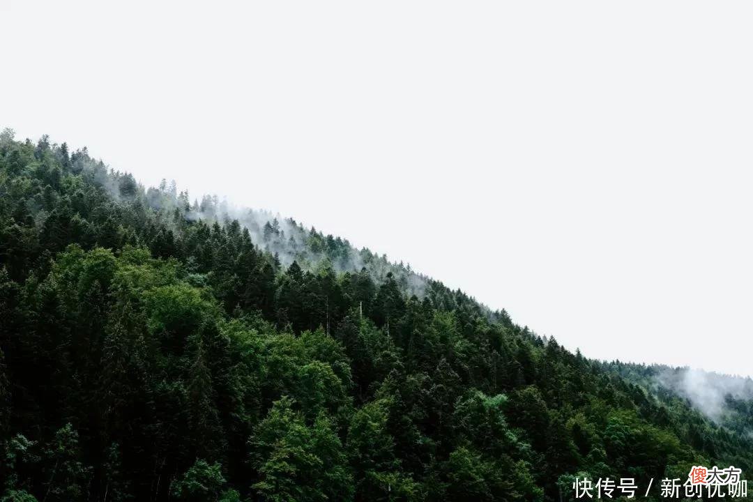 【十二星座】5月，喜鹊叫喳喳，财神将到家，富贵约定，存款翻番的三个生肖