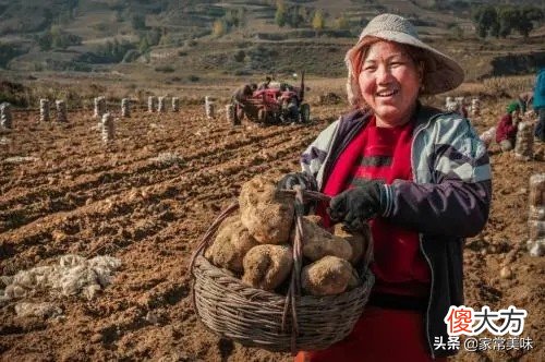 全国哪的土豆最好吃 中国哪里的土豆好吃