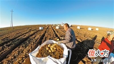 全国哪的土豆最好吃 中国哪里的土豆好吃