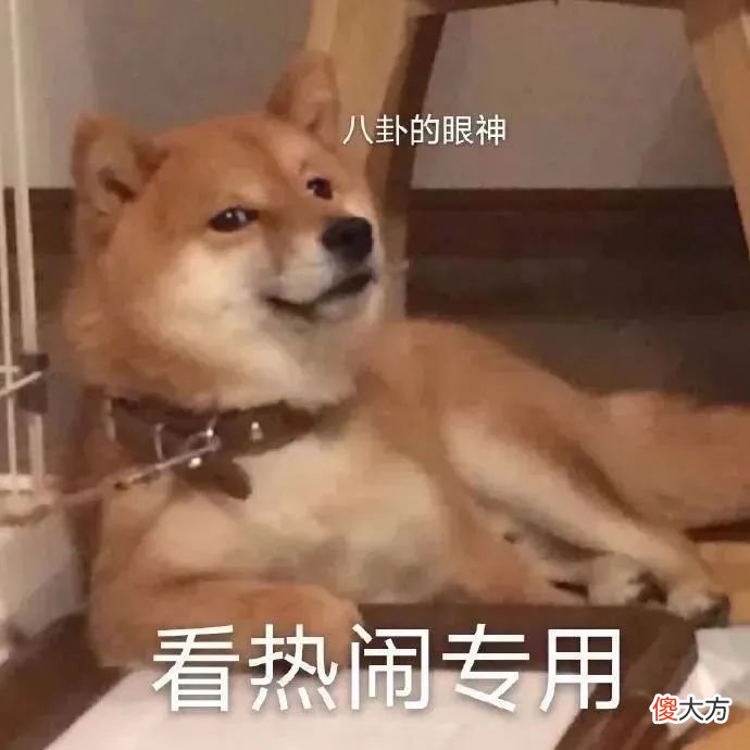 听说大家都在找这款耳机转接头 耳机转接头哪个牌子好