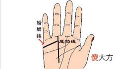 婚姻线分叉了怎么办 意味着什么？