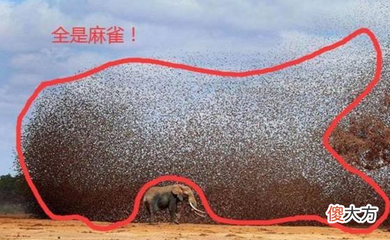 一天吃掉1500吨粮食 1500吨粮食够多少人吃