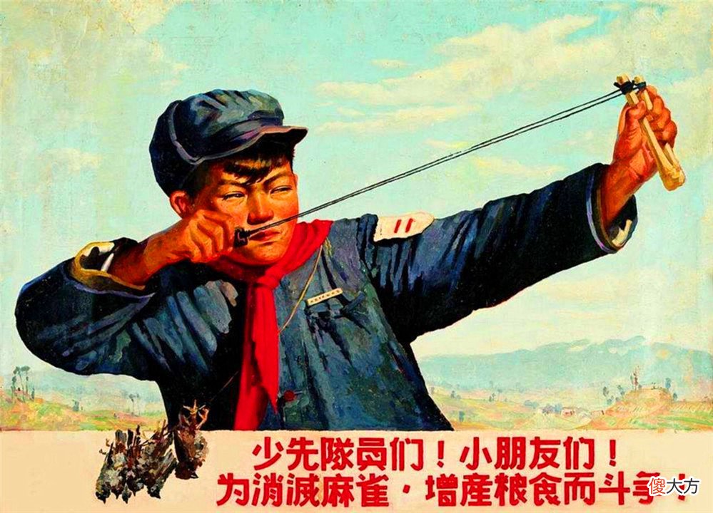 为什么很难见到本土麻雀了 为什么现在见不到麻雀了
