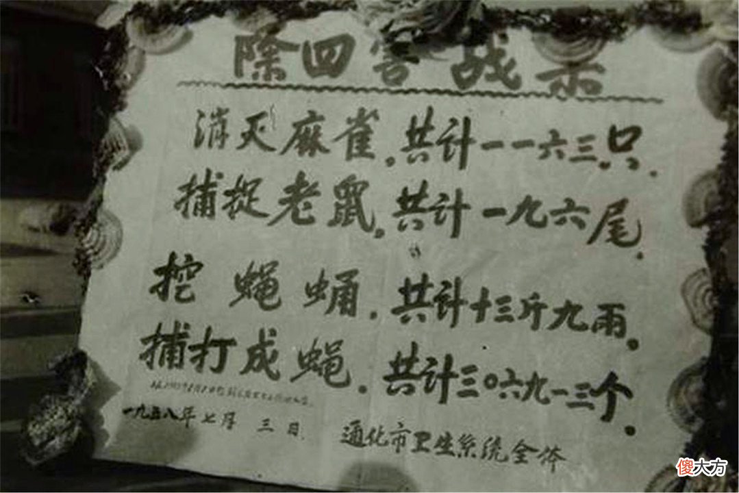 为什么很难见到本土麻雀了 为什么现在见不到麻雀了