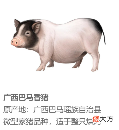中国哪里的猪猪最下酒?