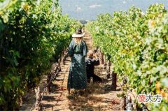 自酿葡萄酒甲醛中毒的表现 自酿葡萄酒导致中毒