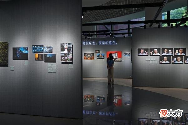种蘑菇的博士 种蘑菇科学实验