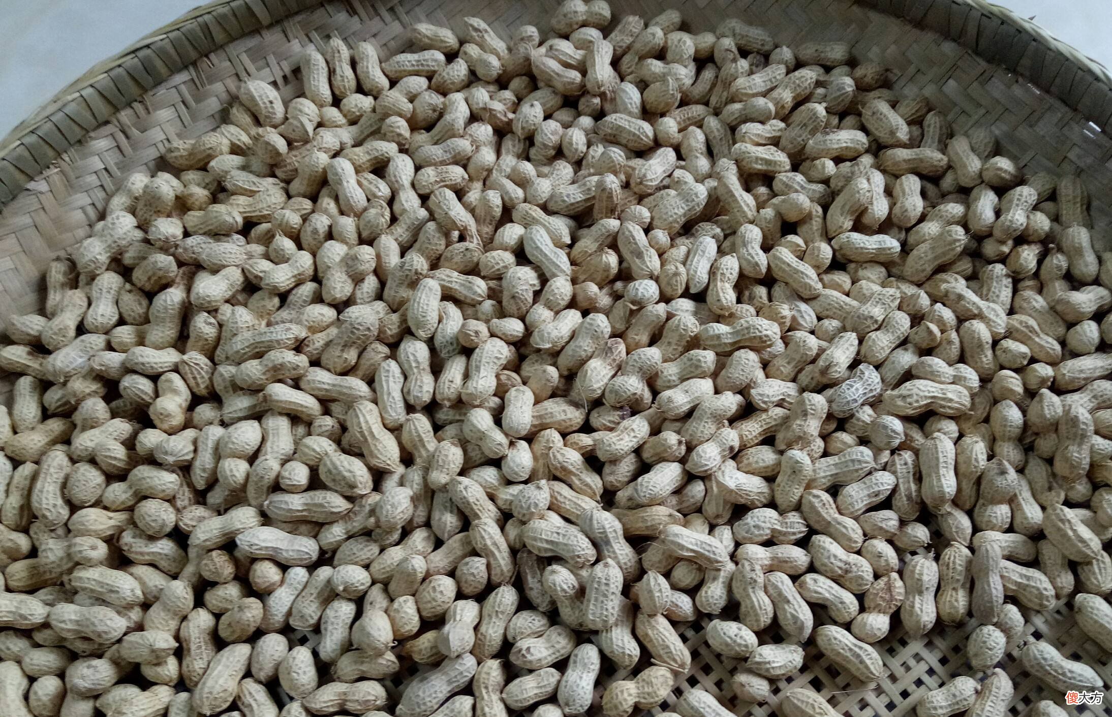 80年代过年常吃的8种零食 80年代的吃的零食