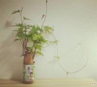 如果不能吃了 那如果不能吃