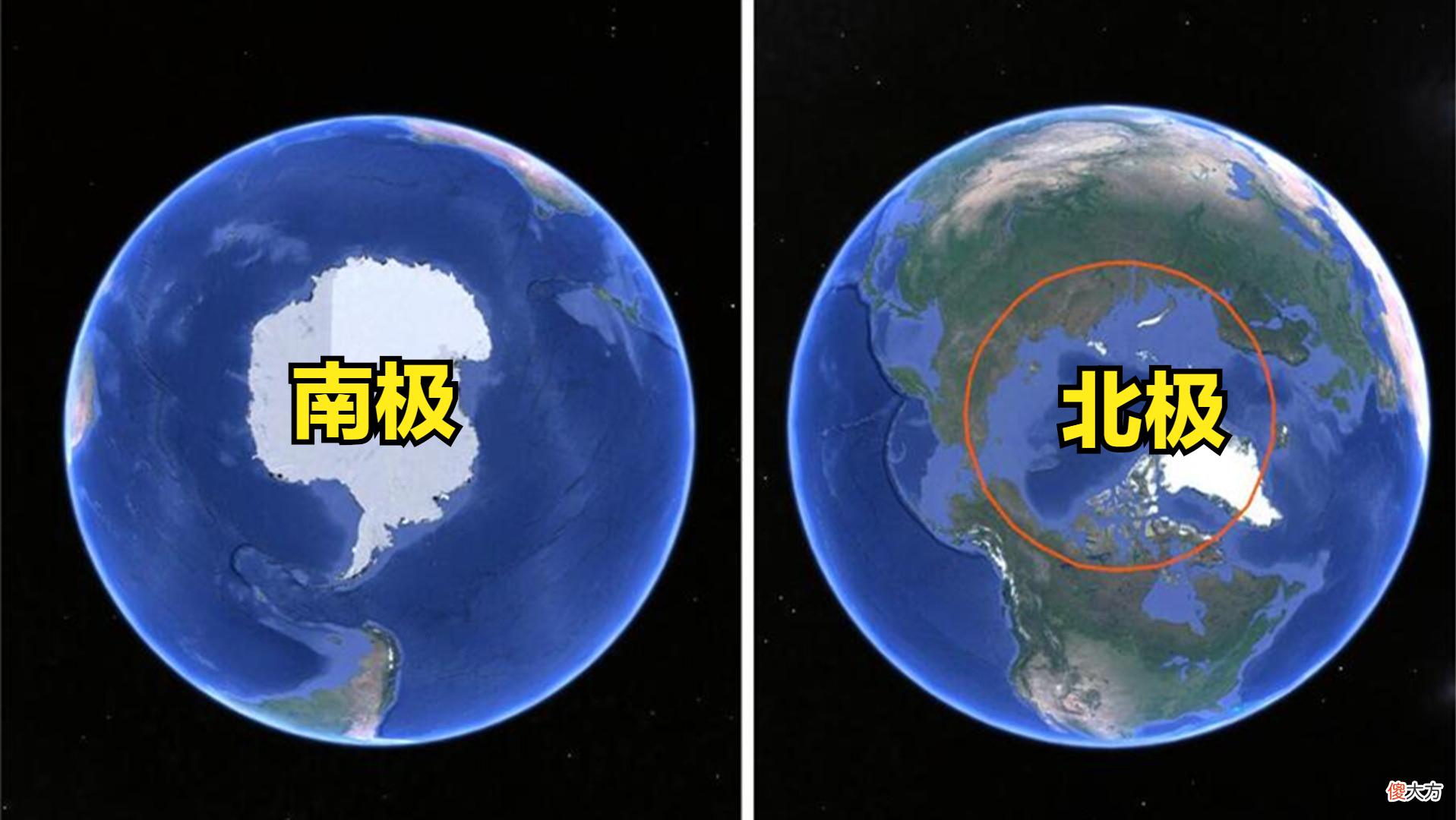 南极和北极有何不同 北极和南极不同是什么