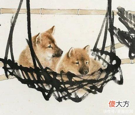 【十二星座】哪3个生肖，今年求财得财，求子得子，下半年心愿得偿