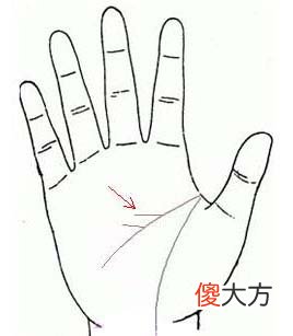 智慧线中间分叉图解