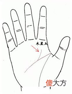 智慧线中间分叉图解