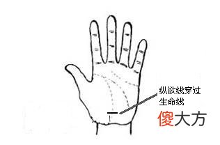手相 纵欲线「图解」