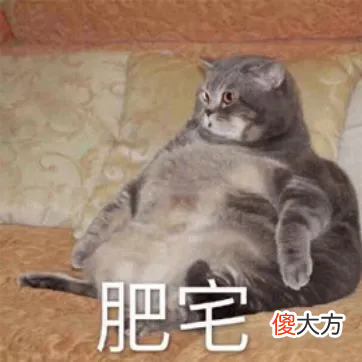 你们的手机未来能用WiFi充电 拥有无线充电的手机
