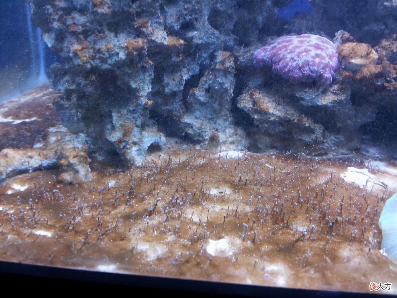 非洲出现神秘巨大的裂缝 非洲出现巨大裂缝