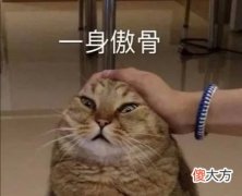 【游戏世界】电竞周刊丨总决赛即将打响！季后赛回顾带你重温天秀时刻！
