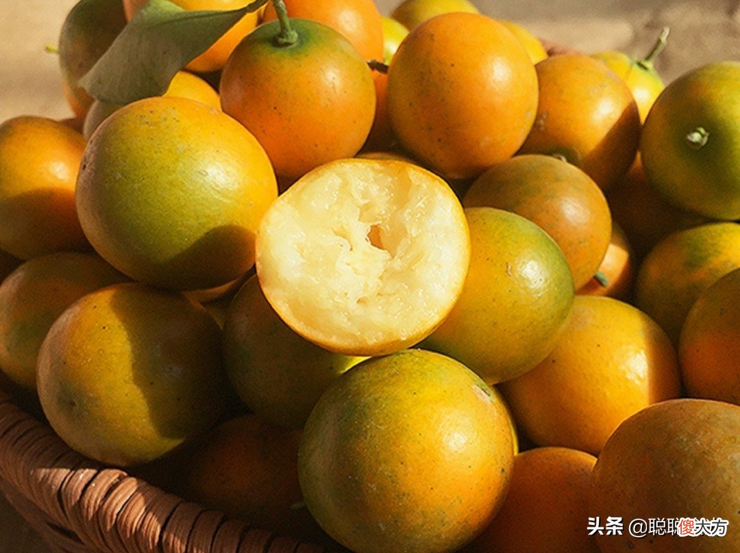 哪个品种最好吃 桑葚哪个品种最好吃
