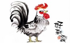 属鸡最适合佩戴什么生肖饰品