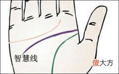 智慧线横线长代表着什么？